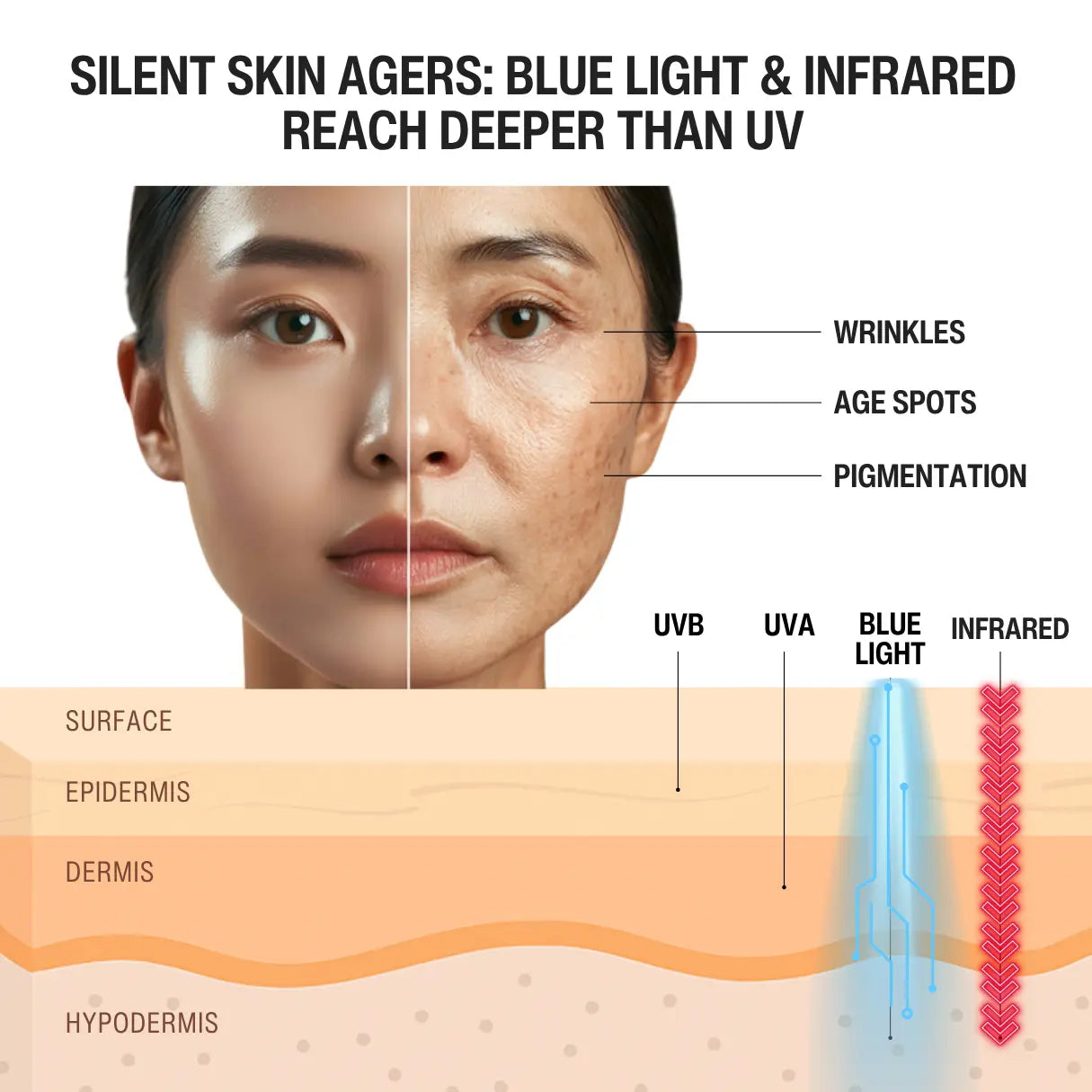THE PERFECT SUNSCREEN SPF 50
