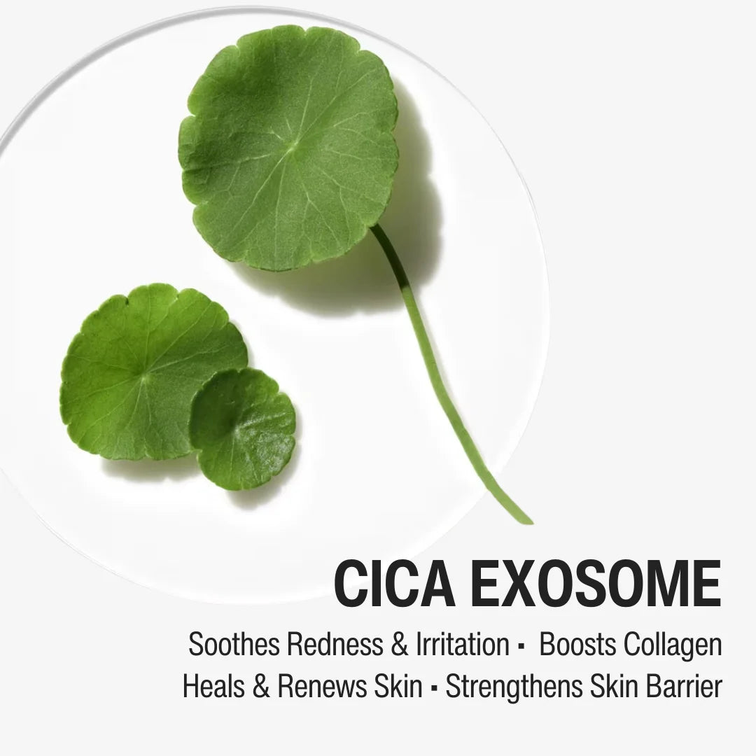 1% RETINOL DAY MOISTURIZER SPF 15 | YOUTH RENEWAL STEP 04